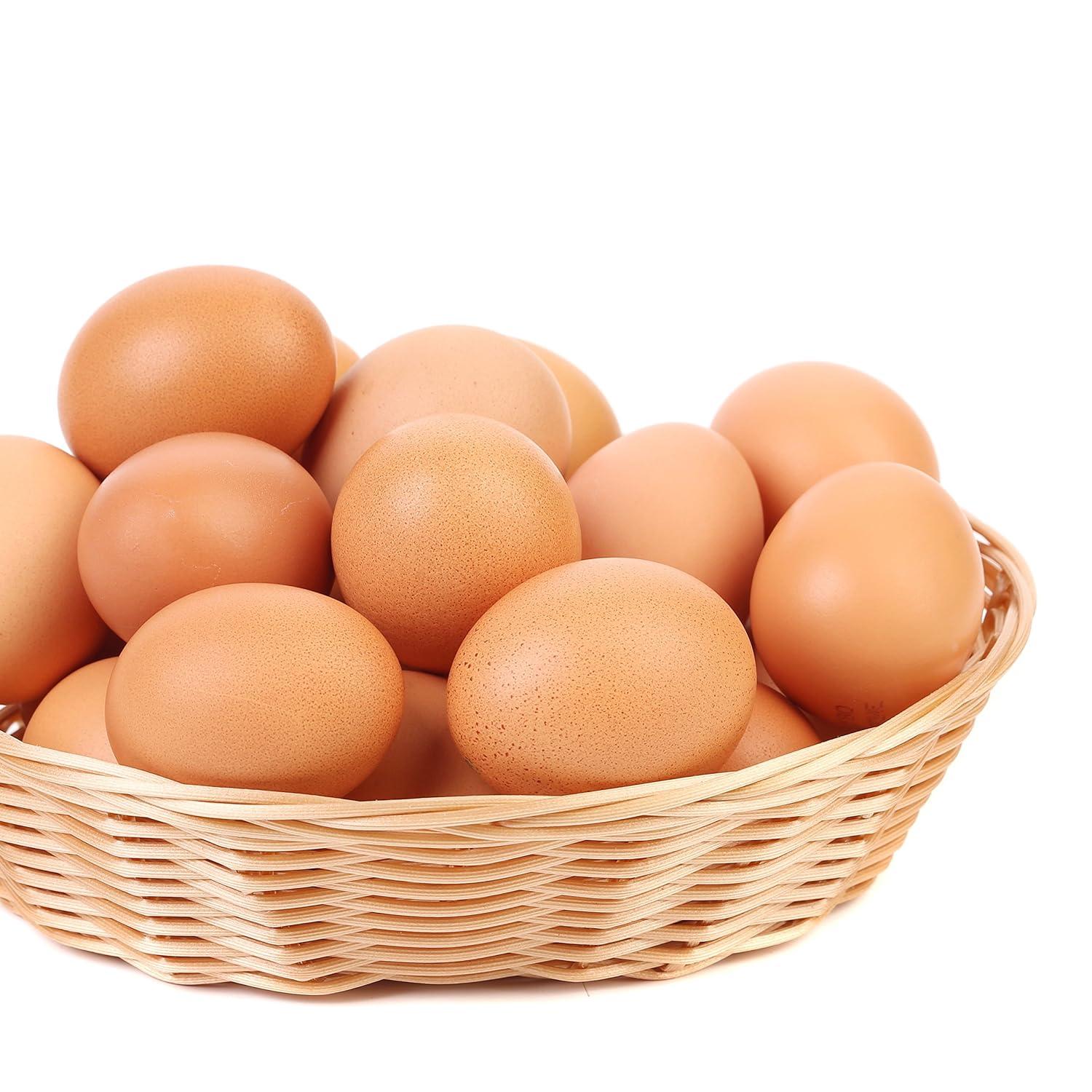 image:imageAugason Farms Pasteurized Scrambled Egg Mix Can Emergency Food Supply Dehydrated scrambled egg for Baking amp Camping Gluten Free Survival Food with Long Shelf Life 57 ServingsWhole Egg Product 11 Lbs