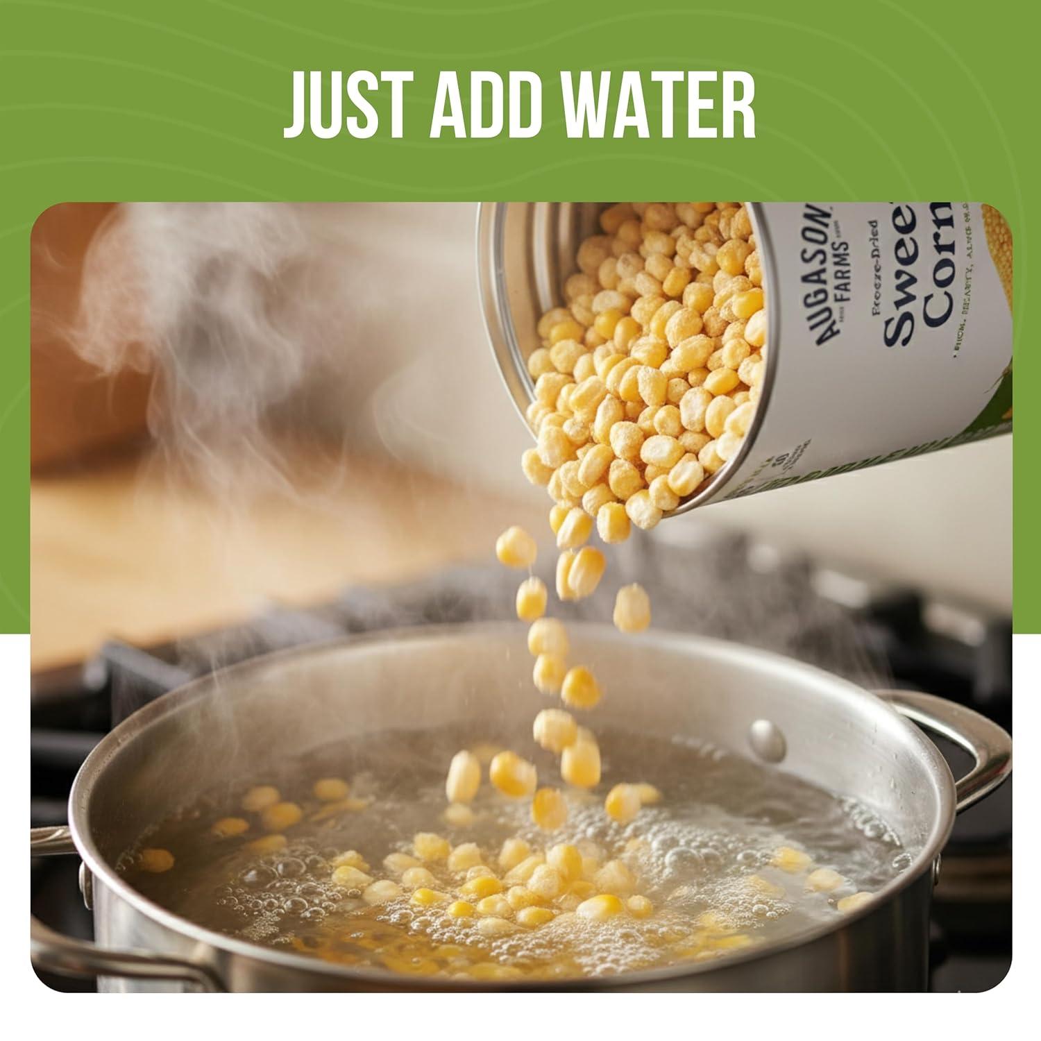image:imageAugason Farms FreezeDried Sweet Corn Emergency Food Supply 30 Servings 30 Year Shelf Life Great for Cooking Side Dishes and Snacks Dehydrated Meals Survival Food Camping Essentials Can1 lb