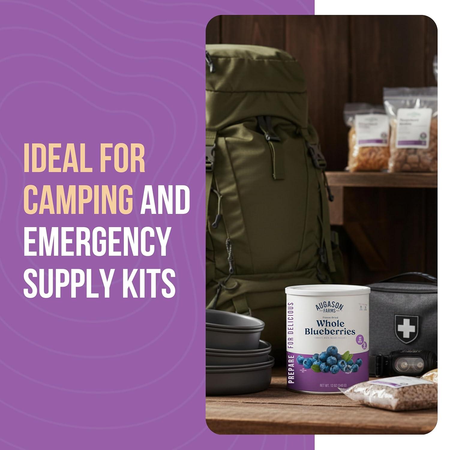 image:imageAugason Farms FreezeDried Whole Blueberries Emergency Food Supply 26 Servings 30 Year Shelf Life Great for Cooking Baking and Snacks Dehydrated Meals Survival Food Camping Essentials CanBlueberries 12 oz